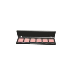 Long Rectangular Cosmetic Palette
